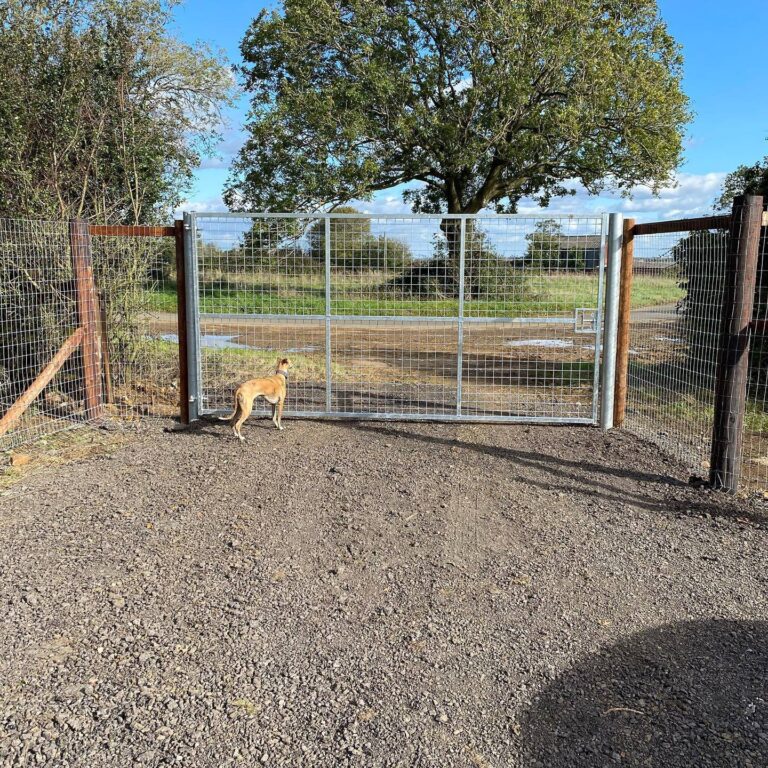 1748 89e6476475ea61af1a3c97718552fadf 1 768x768