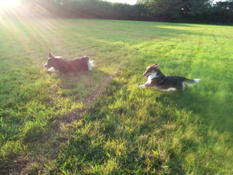 1750 484535abe3c74c3bc5e58c27e0c7a074 1 768x576