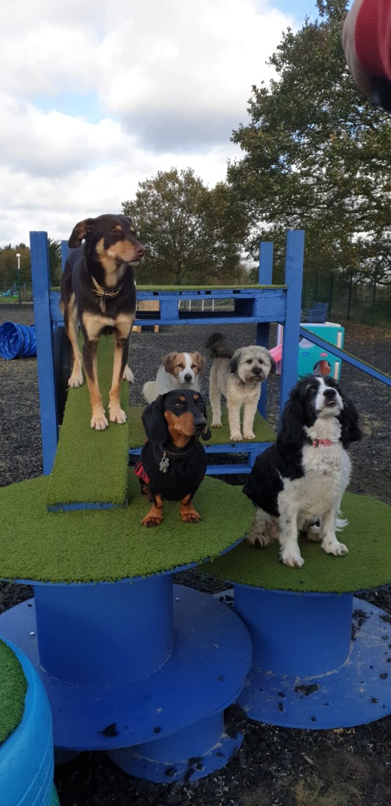 1763 72941fcc228370bffbbe3e85a07dd3ae 1 768x1581