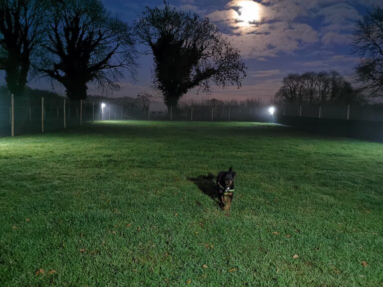 1773 050e75d347070af911bd995ee328d0c3 1 768x576