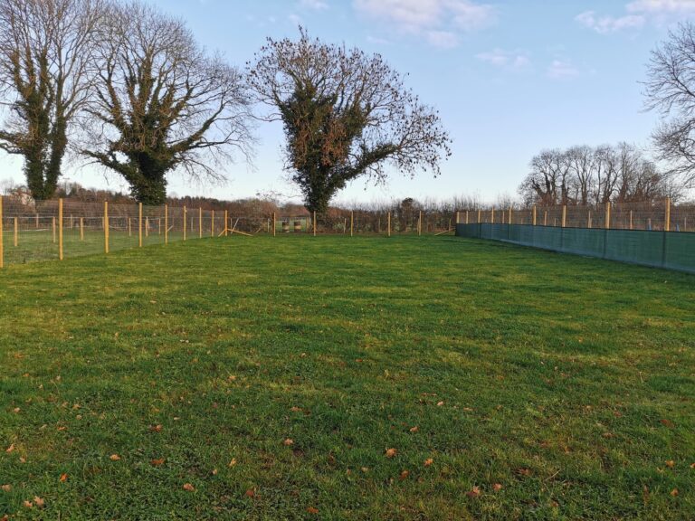 1773 274443d526ee932fd18fd7ae32048924 1 768x576