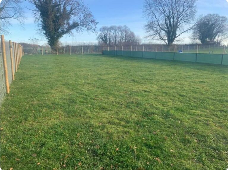 1773 eb2fc94188cf3a00b5f7179a64343f15 1 768x571