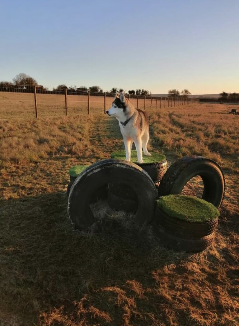 1775 0124f7d46e099b18e55f270abf88718d 1 768x1049