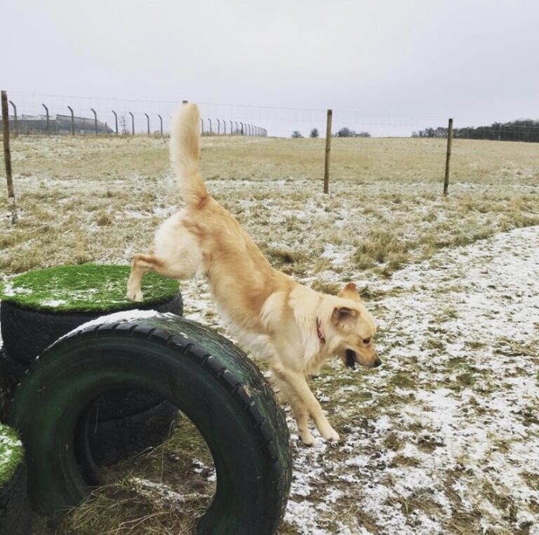 1775 1a27575e032cea039fe346a51f4e5cb2 1 768x762