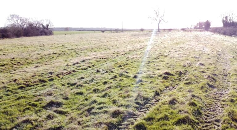 1785 66a07cefa2d46bd9acbc8818df088f6a 1 768x421