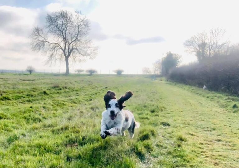 1785 abcb8fecc51326e0449feb648a68ab89 1 768x541