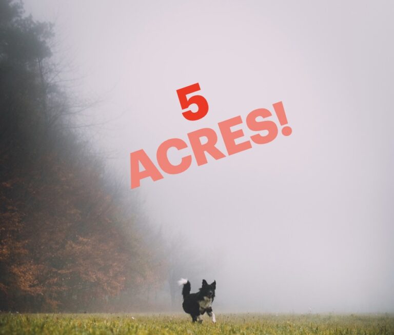 1785 ad2407bc74fbbc5116dbc96dd9df0ba6 1 768x653