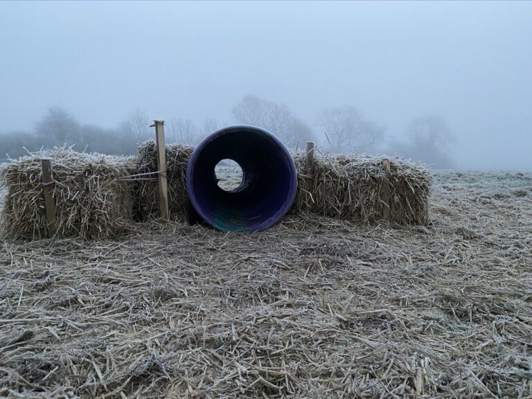 1785 aeb4a963f64f3826b2cdfd908ed6d6c4 1 768x576