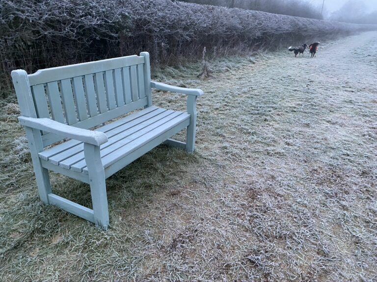 1785 b5a0ece306aaed90e15c352f2944a155 1 768x576