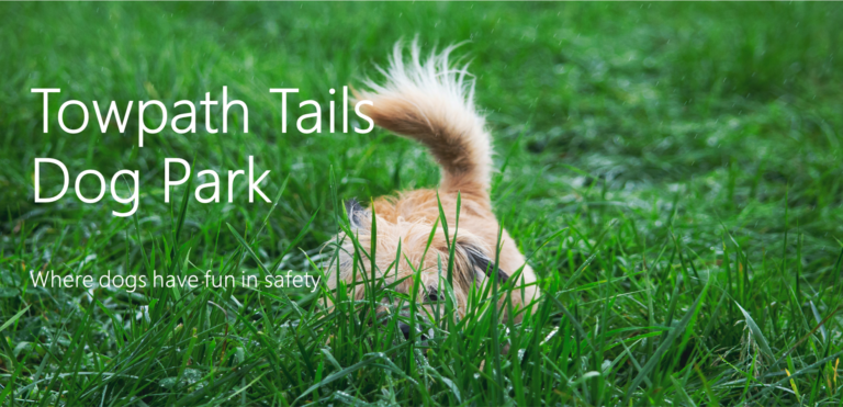 1793 0dad9c4d6b0ef4f25b2247b707a866cf 1 768x371