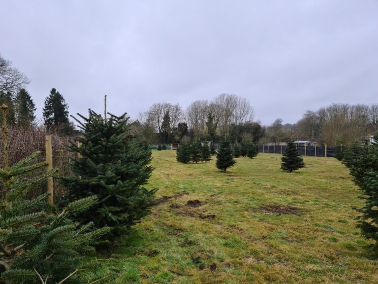 1793 5c2ae55d2e462124858f1c562aad74db 1 768x576