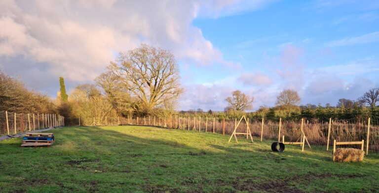 1793 71b721072b98078fedb1f2f506b52ee6 1 768x393