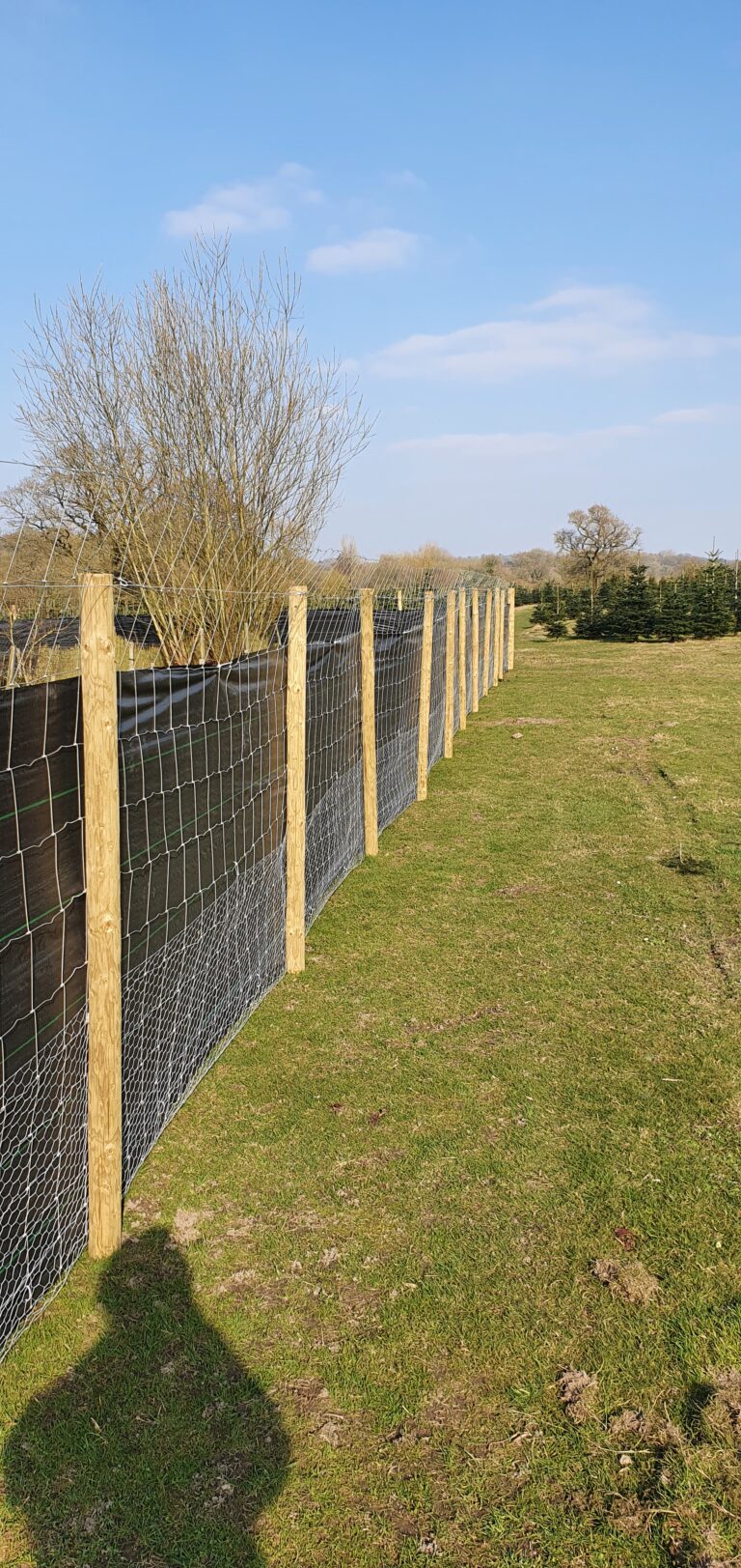 1793 8fd034cb7e16d0aef41f3e183247a1d7 1 768x1623