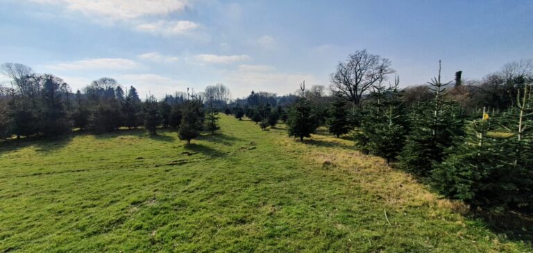 1793 919a2d1ec12c346e3798a6aae49b596f 1 768x364