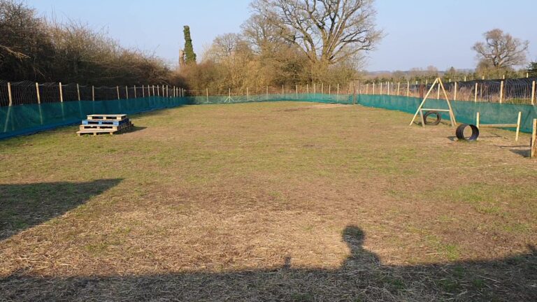 1793 ac322ac7f50677cc7c1fbc306c6ffe4c 1 768x432