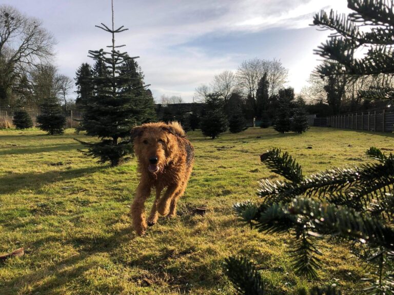 1793 b1813a984d00aa548f470f678fae5bd8 1 768x576