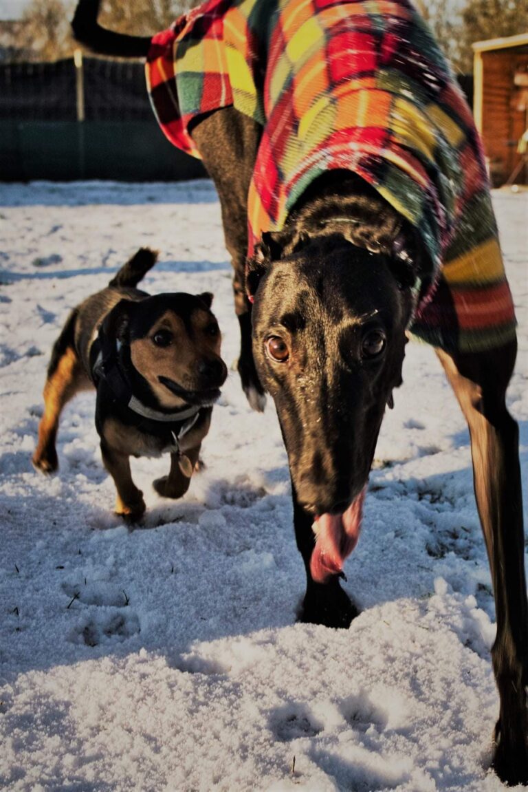 1793 ef4672f400fe0772cadf68950f9a82de 1 768x1151