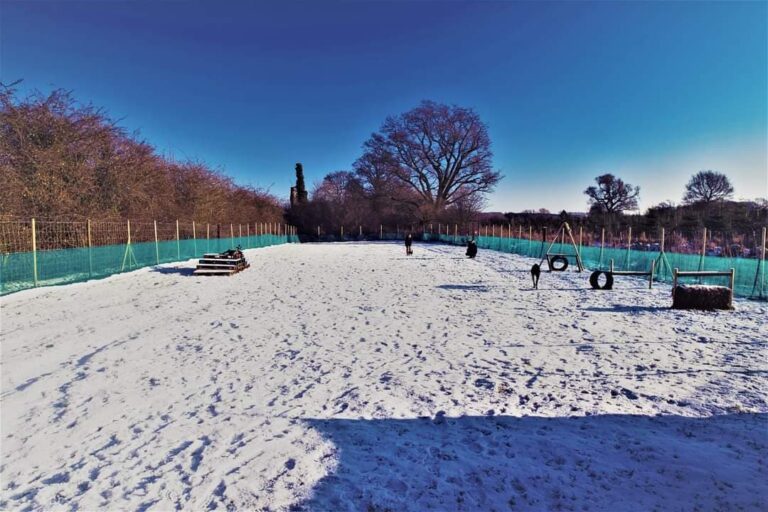 1793 f01ff7361639416eb21e97a7e7c1ed30 1 768x512