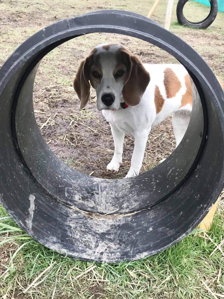 1793 f2ef48409fa928b2711254e313f1cd52 1 768x1023