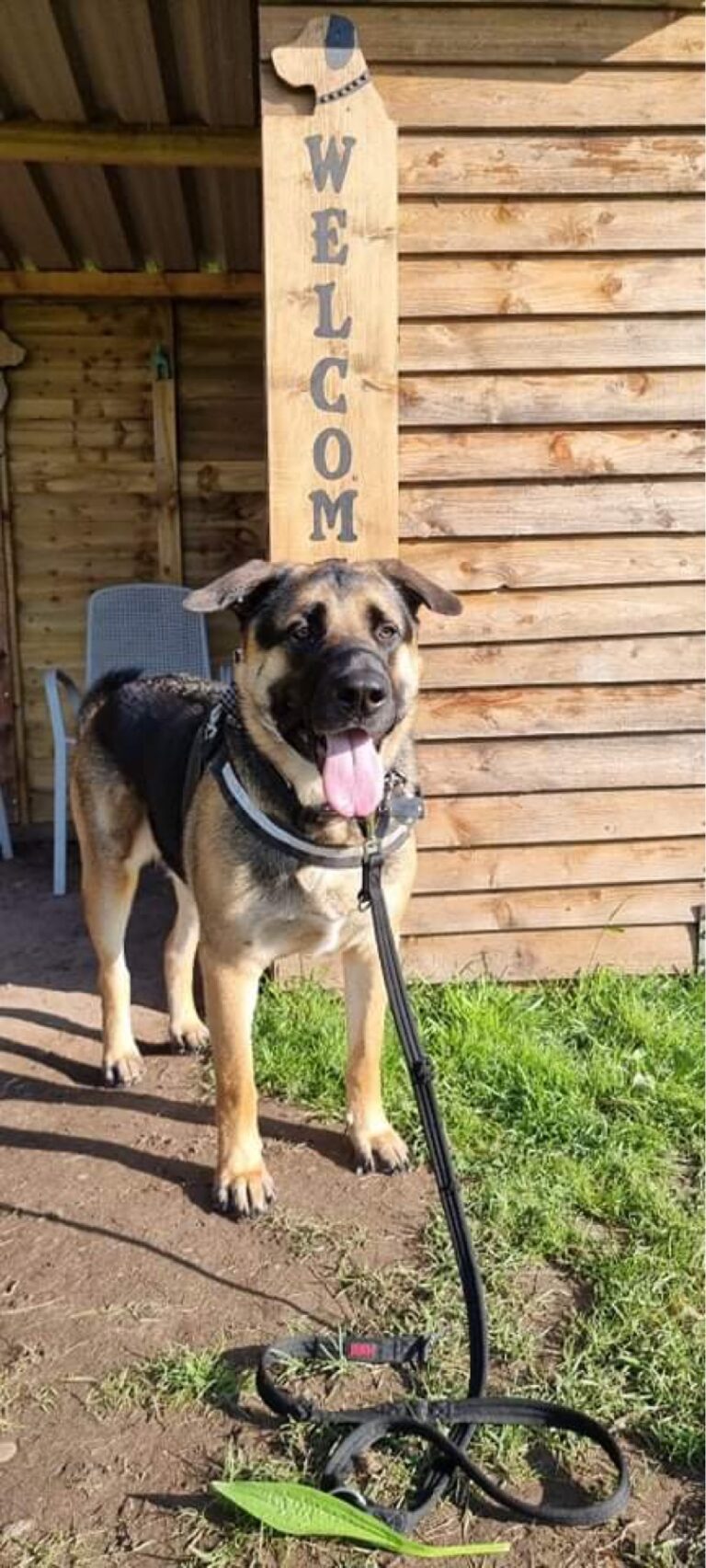 1798 70352c4be3bec497a440178c00e90440 1 768x1705