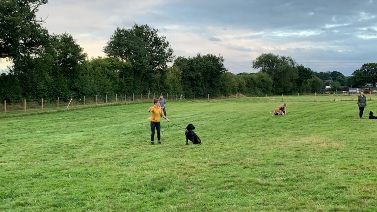 1798 e6a71514dcad2e6f692cbaa5d0d82023 1 768x432