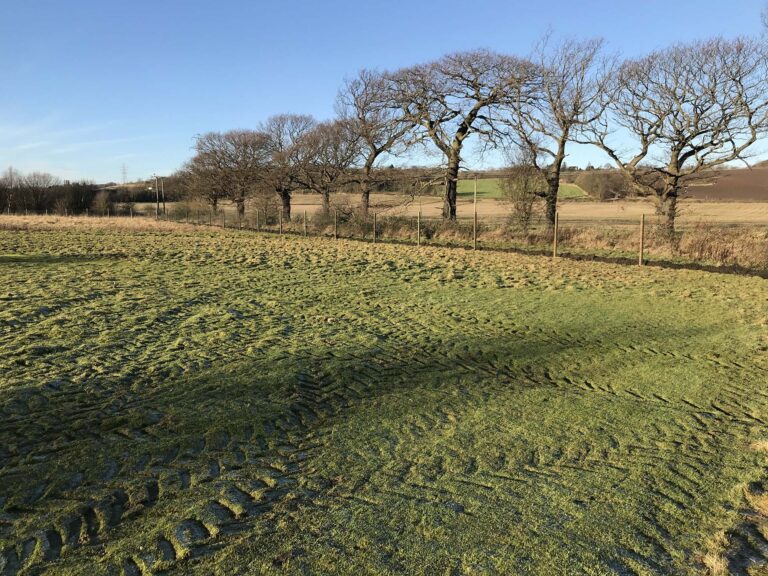 1802 8b761429cc181dcd0b6e612a78ee6cb6 1 768x576