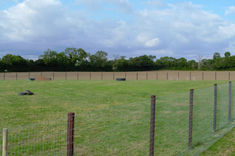 1808 021d364b4fe90f5c40a2509f5507c046 1 768x512