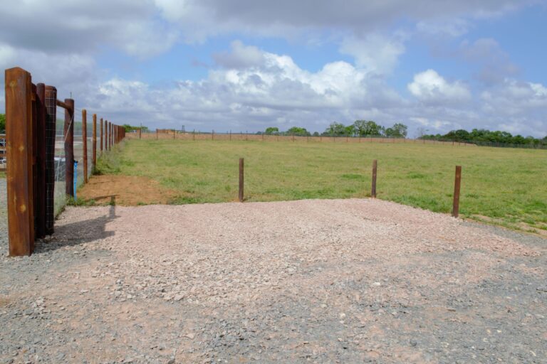 1808 2253e6291e19b726051276836b8a9fad 1 768x512