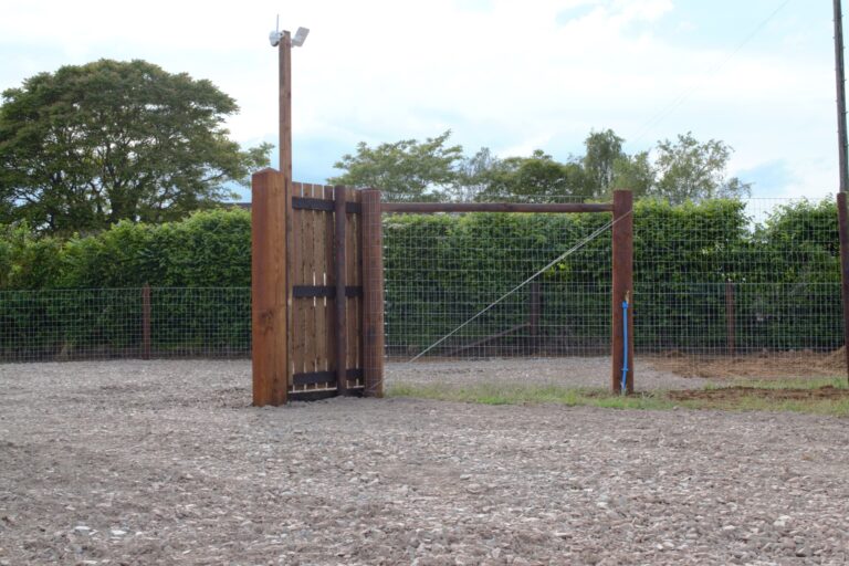 1808 9c2c4fd420e1ec67207bdc3e6bdbb17d 1 768x512