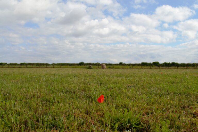 1808 a85269d60bb56a9a08e20cada0c11d3c 1 768x512