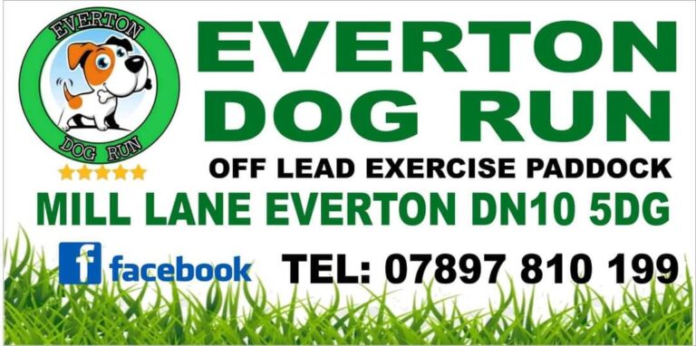 1819 2f7d91ee611702ee3d2409cdc6546a97 1 768x382