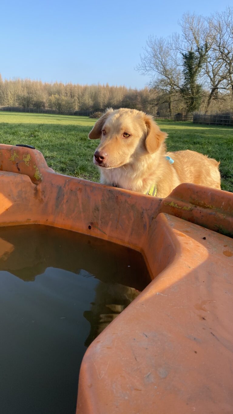 1828 f780fdf67f8a80501467215da67f91fa 1 768x1365