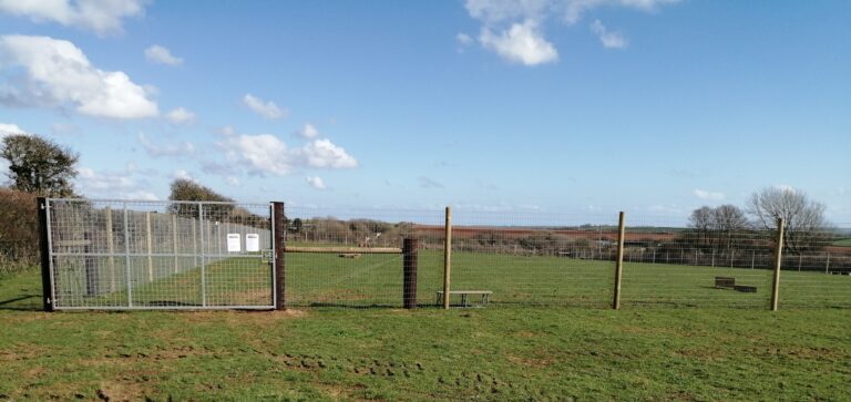 1831 0d85c0bc376d24c448478b877551bf9a 1 768x363