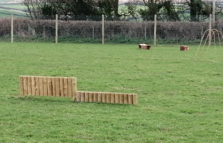 1831 70ebd30bcd181c1169093adcb3fc022c 1 768x494