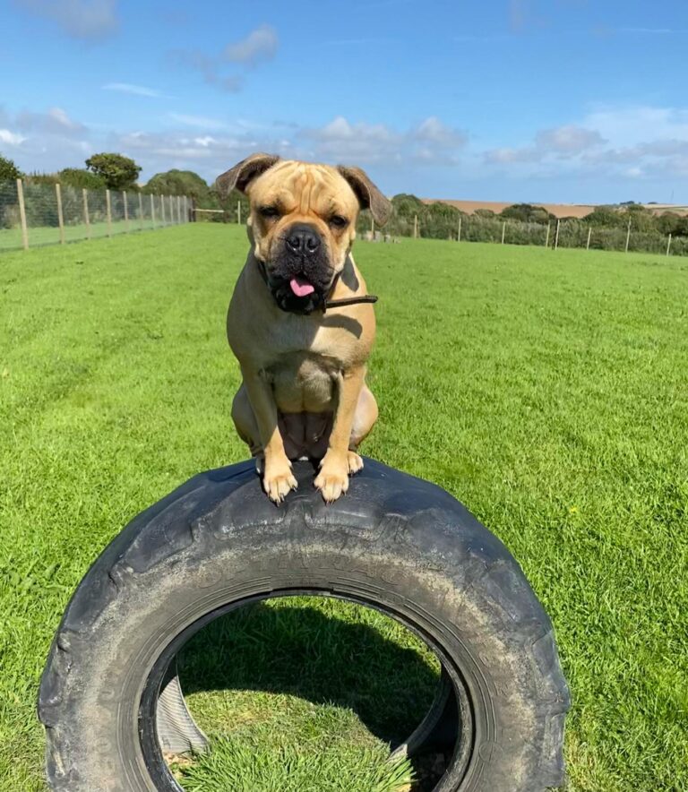 1831 b1aafb0322a750f020d24b80de229e4f 1 768x884