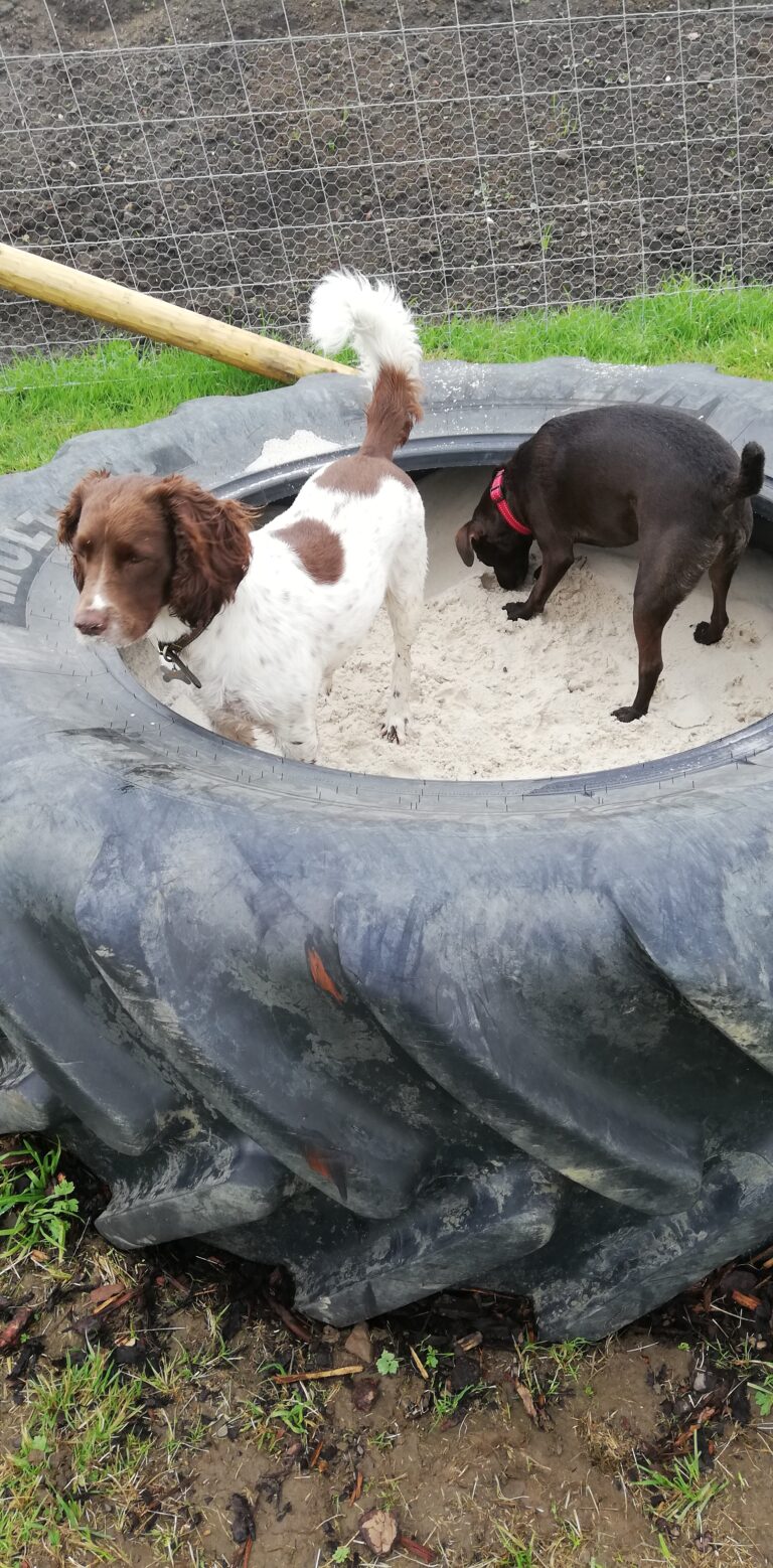 1842 70ef4c0a73a102b5f516fe2b3a90240a 1 768x1558