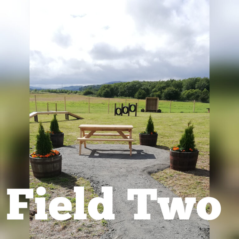 1842 8b296479fa1693f047ec282f76f5aef4 1 768x768