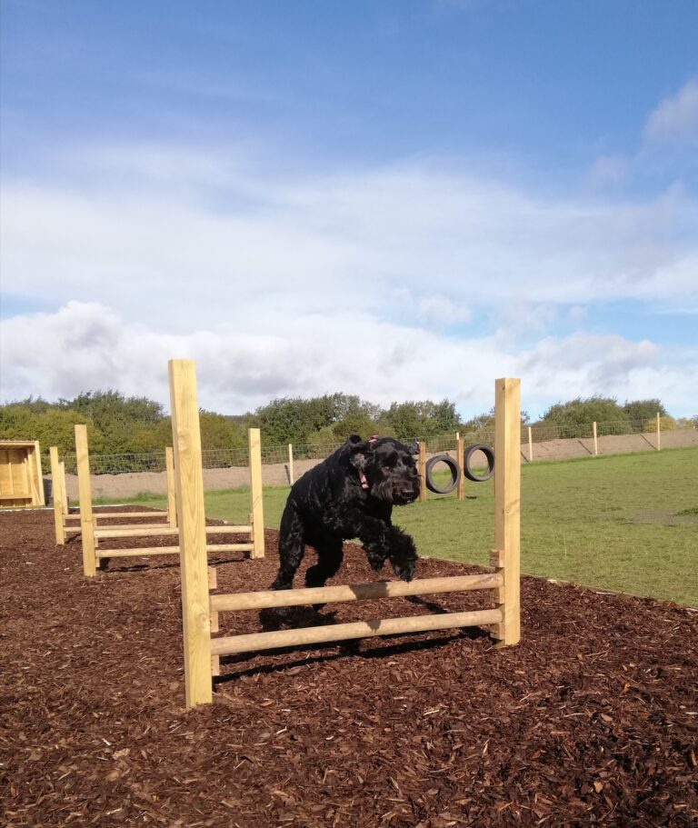 1842 b0d4a319df723e43e5b9805f8597a020 1 768x911