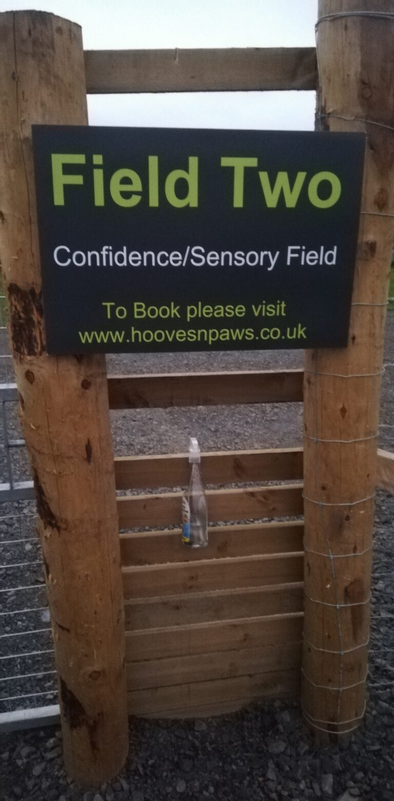 1842 e5ec1f4111def022bc57121e6ef2cfdd 1 768x1558