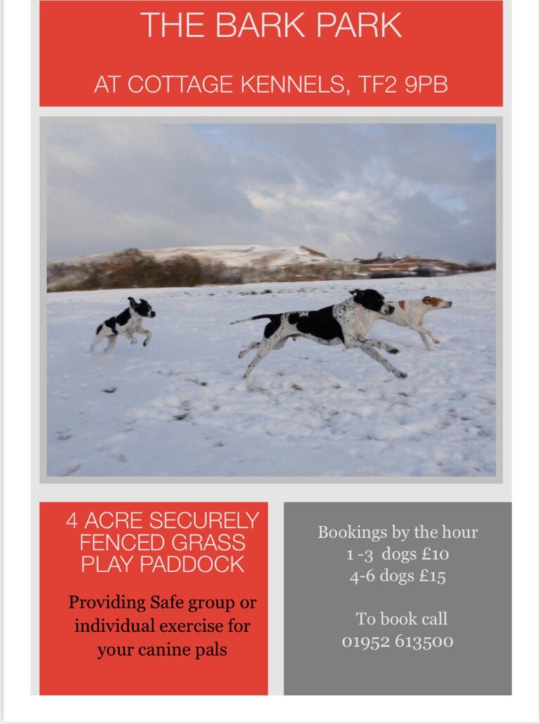 1845 011efb82ef26d9f9b8781d938a03a225 1 768x1030