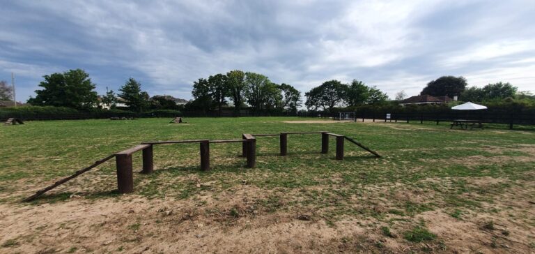 1846 55b0e07f605c1b3261dae4a47e2f49b2 1 768x364