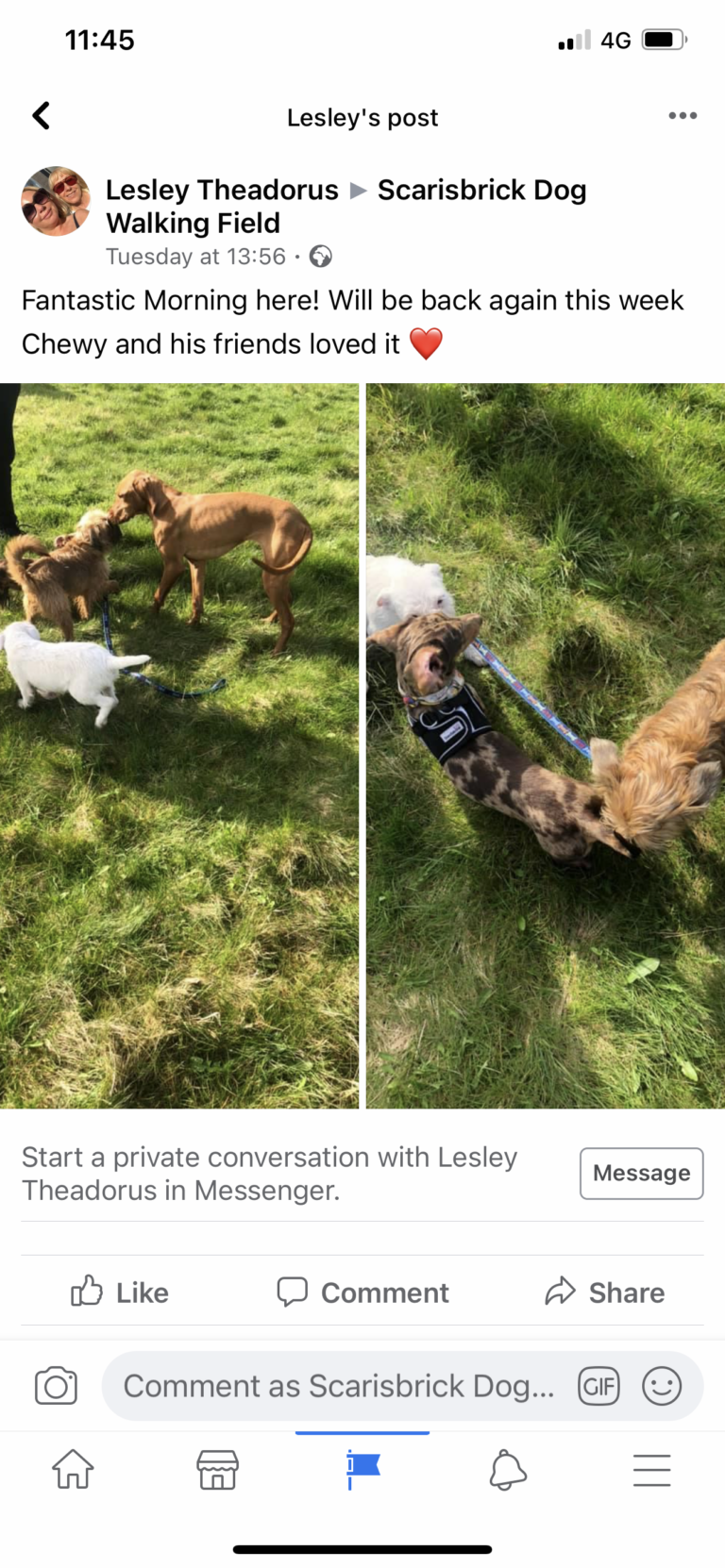 1848 7fb8e176aecd186c7922e33e49cb3670 1 768x1662