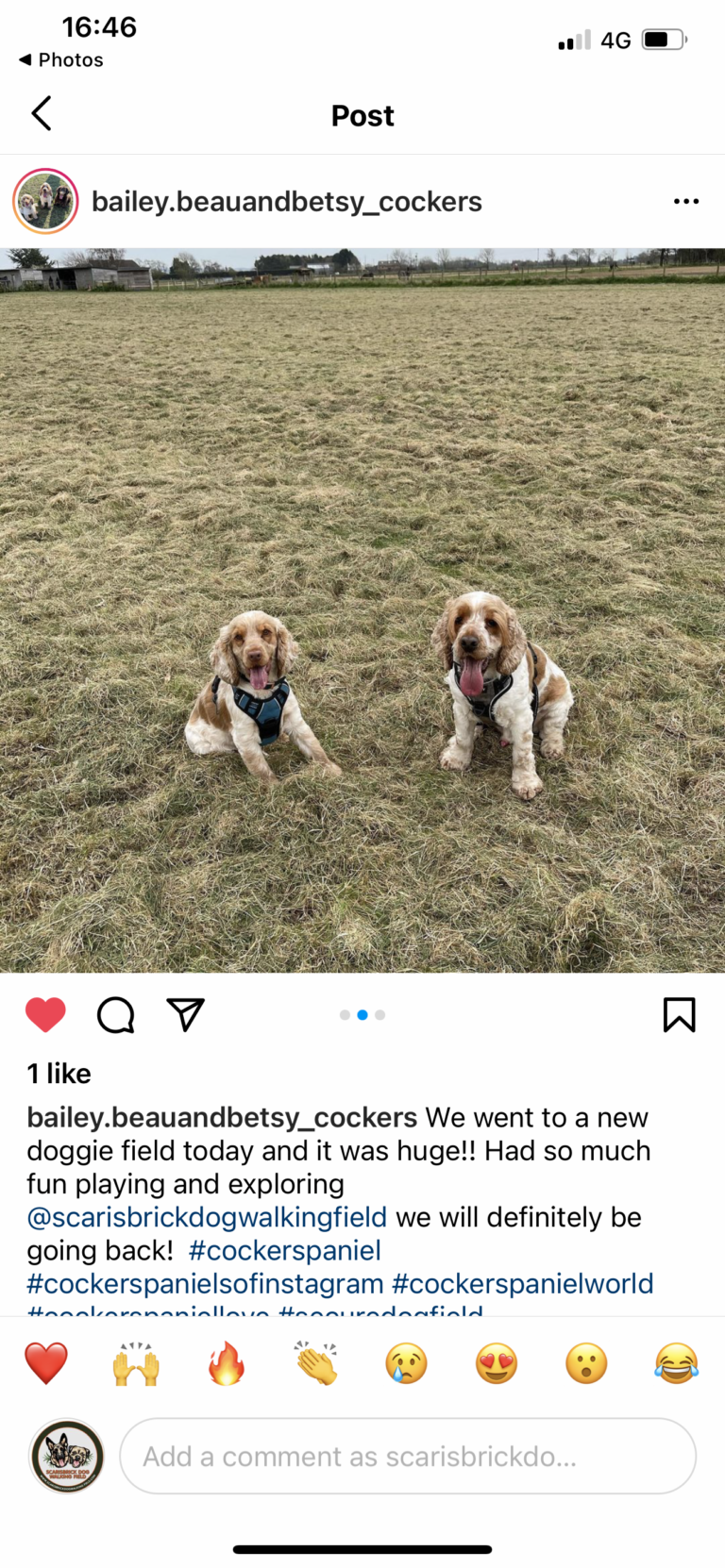 1848 c2fcb8953f4530e15c65f7ef1c39bce4 1 768x1662