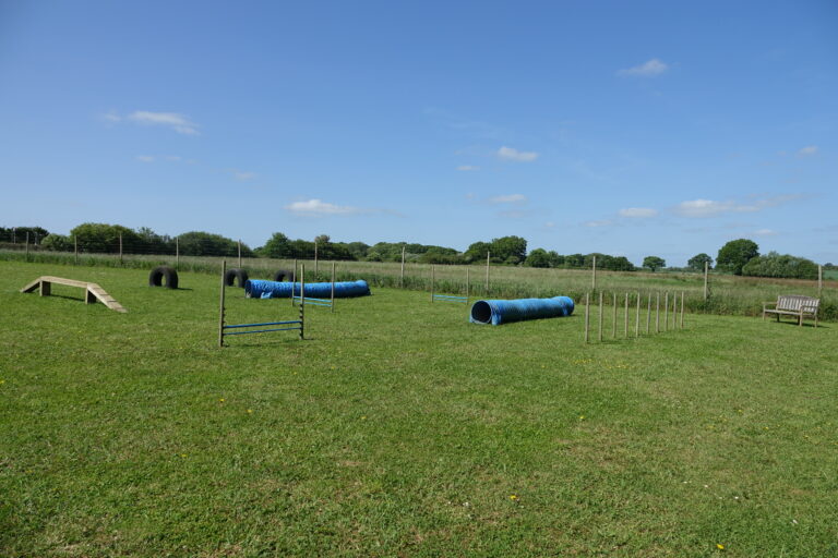 1854 278598661b76129a90d2466961bd033a 1 768x512