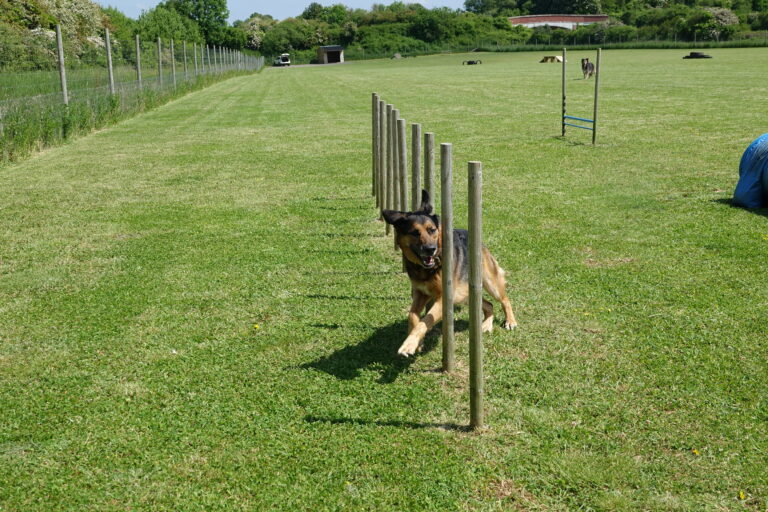 1854 75167be76af41e14f063d2c976cb1f3a 1 768x512