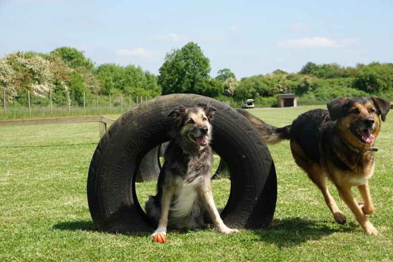 1854 97eebf70f7307aa509c77bbc9ee69b75 1 768x512