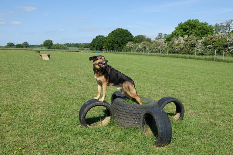 1854 bab4c59c1682729d7ceddf34118e899d 1 768x512