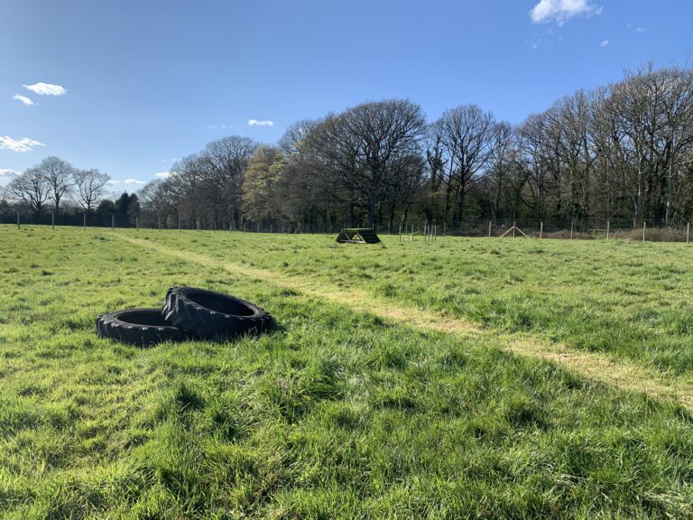 1858 8299f4bc01265397862454b77ae5ac18 1 768x576