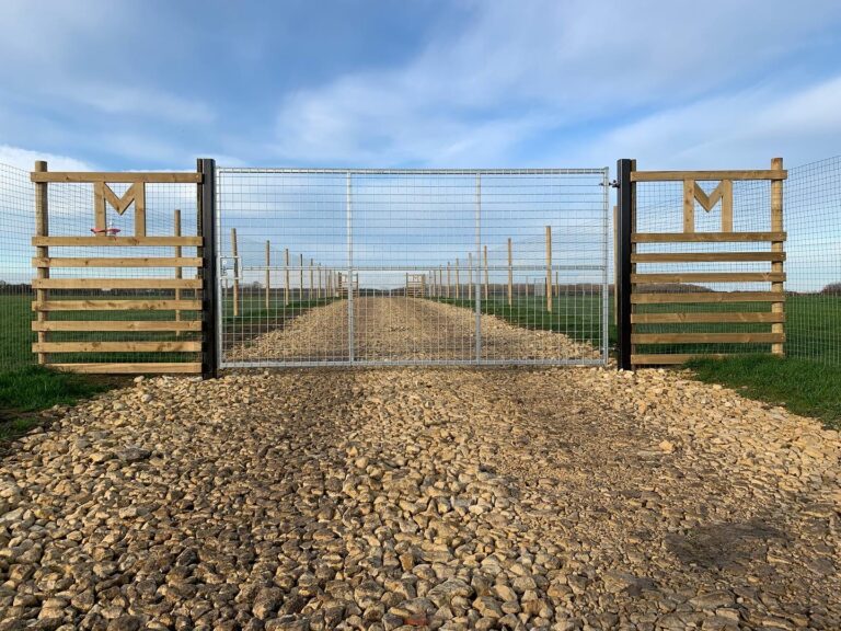 1859 1791c7715f4051ae10b0d6a26a7096b9 1 768x576