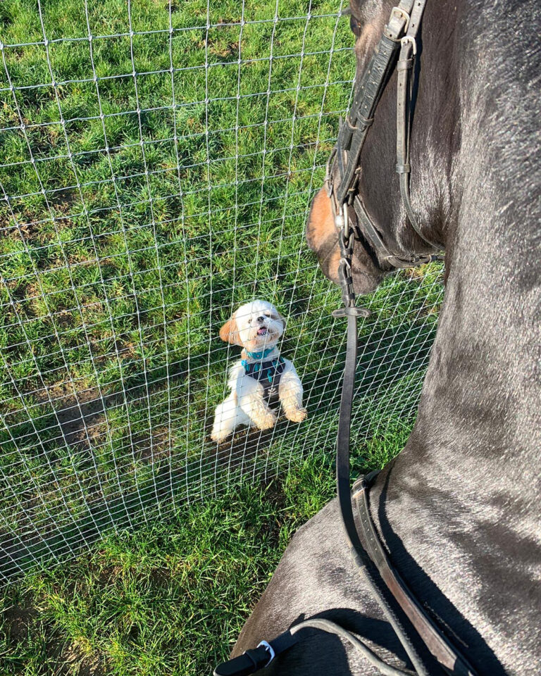 1859 8c137286aeecdba82edbe8713167d5ed 1 768x960